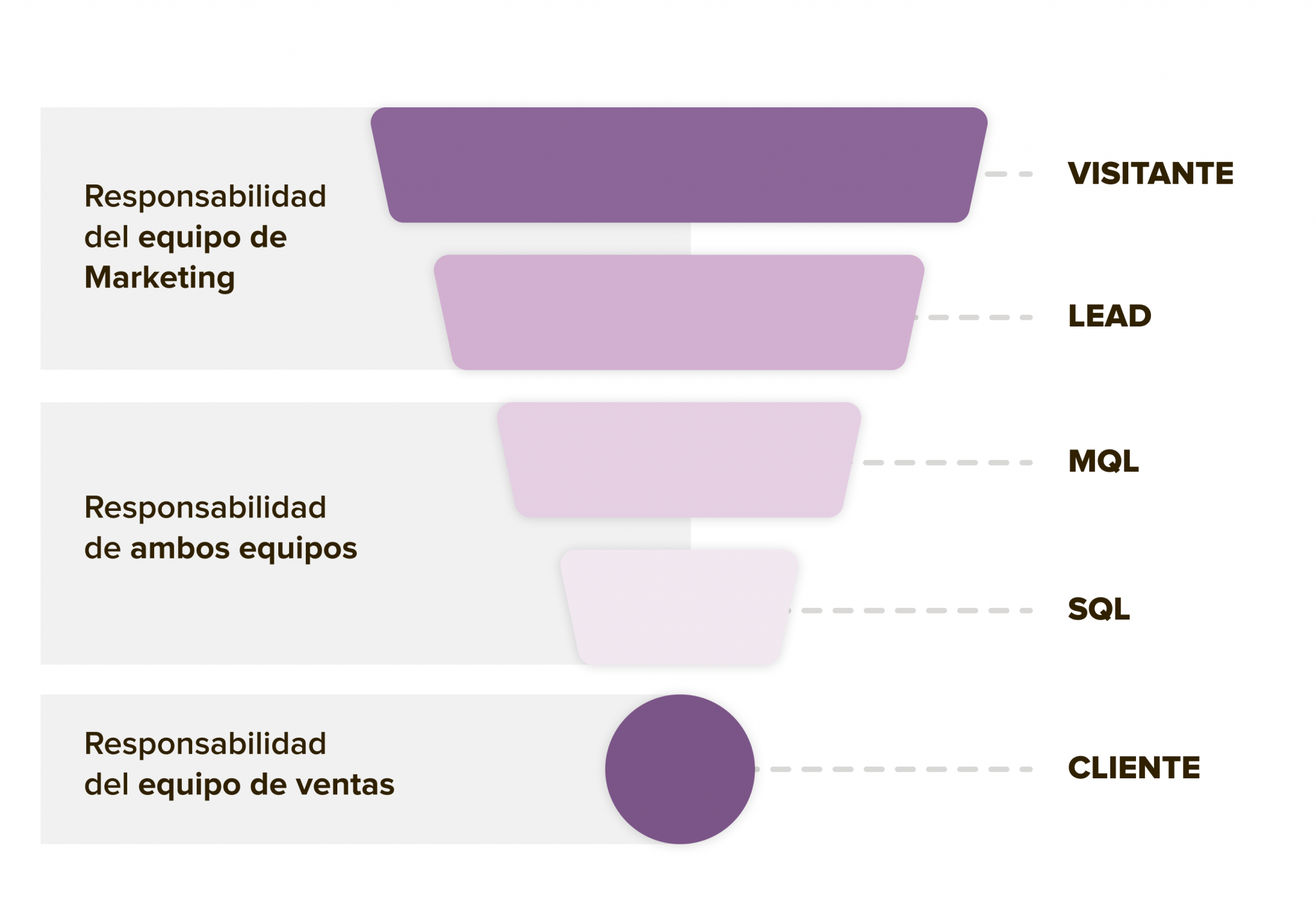 Calificación De Leads Qué Es Y Cómo Hacerla Paso A Paso 8508